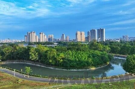 大象麻豆剧果冻传媒视频-新媒体时代的娱乐风潮，大象麻豆剧在果冻传媒视频中的独特探索