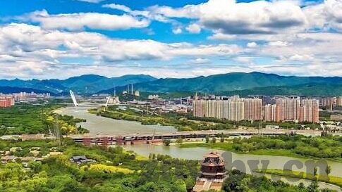 家庭伦理小说-家庭伦理的细腻织锦，在爱与责任中寻觅真我