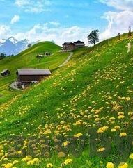 久久精品女人天av麻豆-久久的经典女性魅力，麻豆的精致舞台