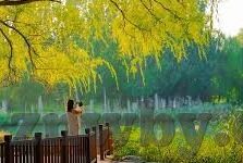 麻豆视频免费版下载-麻豆视频，不可或缺的娱乐宝藏