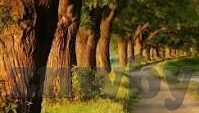 糖心app下载网址进入-走进糖心app——探索数字世界的甜美空间