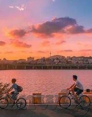 糖心vlog产精国品入口-糖心Vlog的国产品质新视角，解锁创意视频的精炼角落