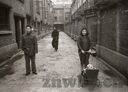 中文字幕无码日韩欧毛-探索多元文化视角下的影视内容——中文字幕无码日韩欧毛的魅力